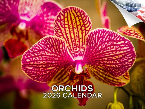 Vista 73 de Calendario de grises africanos 2025 2026 – Planificador mensual de pared de aves africanas – 12 x 18 pulgadas (abierto), calendario de pared