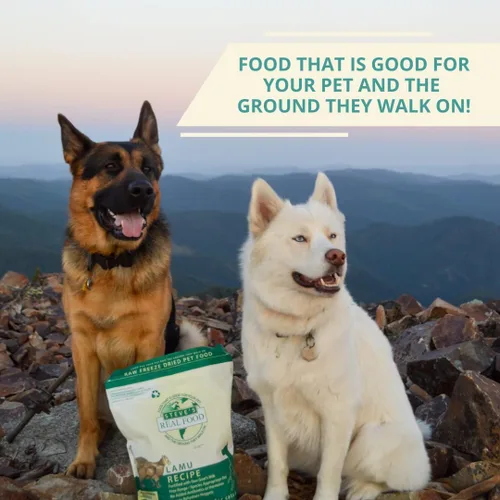 Vista 7 de Steve's Real Food Nuggets crudos liofilizados - Receta de Lamu - Alimento crudo para mascotas para perros y gatos - 20 oz