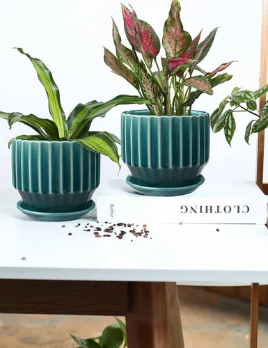Vista 5 de AISBUGUR Macetas de cerámica de 6 pulgadas para plantas de interior, juego de 2 macetas de diseño único de esmalte agrietado con orificio de drenaje