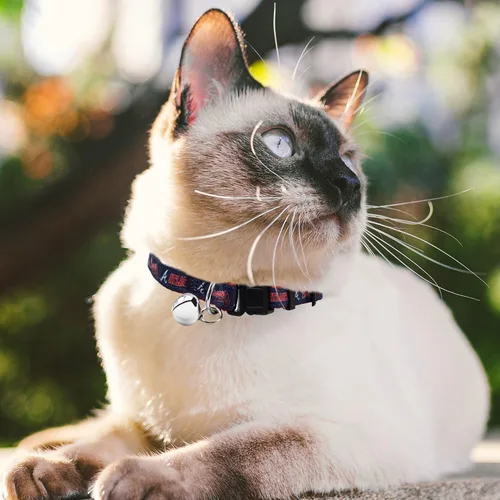 Vista 3 de Pets First MLB CAT Collar Atlanta Braves Satin Cat Collar de equipo de béisbol para perros y gatos. Un collar de gato brillante y colorido