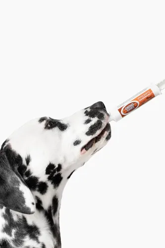 Vista 2 de Respuesta inmediata 1.0 fl oz - Probiótico avanzado y pasta de levadura para perros y gatos - Apoya la salud digestiva, alivio de la diarrea
