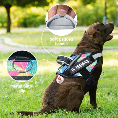 Vista 2 de Chaleco para perro de servicio+6 parches, arnés ligero en entrenamiento para perro, chaleco reflectante con asa acolchada suave para perros