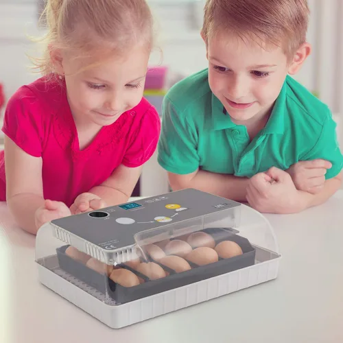 Vista 8 de Jumbl Incubadora de huevos transparente, máquina digital totalmente automática para eclosionar aves de corral, control de temperatura y girador