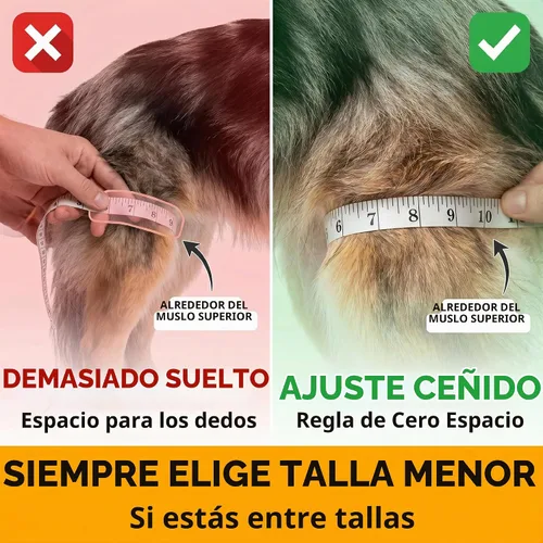 Vista 4 de Rodillera para perro para pierna trasera, pierna trasera desgarrada de ACL, rodilleras para perro para pierna trasera, soporte para pierna trasera