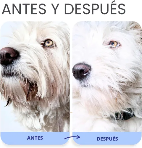 Vista 5 de Lillian Ruff Fórmula PRO Berry Blue Brightening Set de Champú y Acondicionador para Perros - Blanqueador de Calidad Profesional para Exposiciones