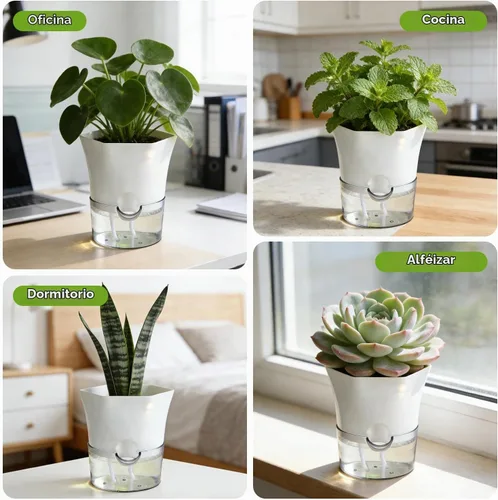 Vista 6 de Paquete de 6 macetas transparentes de riego automático de 6 pulgadas para plantas de interior, macetas hexagonales grandes con riego automático