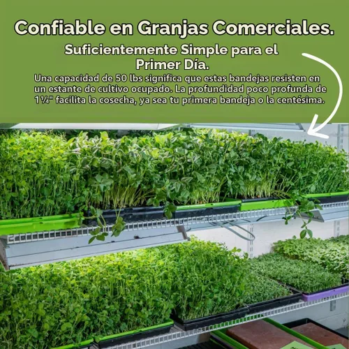 Vista 2 de Bootstrap Farmer Bandejas extra fuertes 1020, paquete de 10, color negro con agujeros