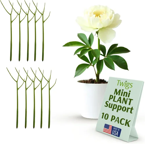 Vista 17 de Estacas de soporte para plantas para uso en interiores y exteriores, alternativa duradera de enrejado para plantas trepadoras y en maceta