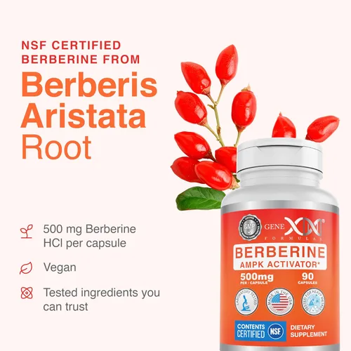Vista 8 de Genex Formulas Berberina HCl 500 mg (90 cápsulas) – Certificado NSF para seguridad, calidad y precisión de etiquetado – Apoya la salud inmunológica