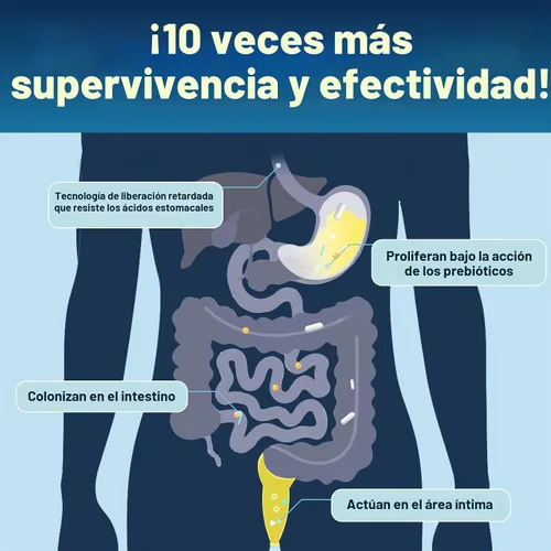 Vista 6 de DRFOSTER Probióticos para la salud digestiva de hombres, 120 mil millones de UFC, 180 cápsulas