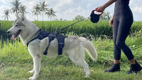 Vista 8 de Tuff Pupper Correa retráctil resistente para perro Correa para perro de 16 pies con costuras reflectantes para seguridad nocturna Bloqueo