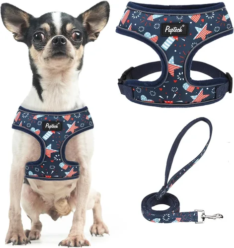 Vista 86 de PUPTECK Juego de arnés y correa de malla suave para perro, cachorro y gato, cómodo chaleco acolchado sin tirones, azul Pascua, S