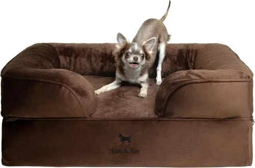 Vista 49 de NOAH & PAW Cama para perros pequeños, 20 x 15 x 8 pulgadas, cama para gatos de interior, espuma viscoelástica ortopédica de cáscara de huevo