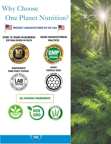 Vista 3 de One Planet Nutrition Moringa en polvo de 8 onzas (227 porciones), hoja de moringa orgánica cruda, rica en vitaminas, minerales y proteínas vegetales