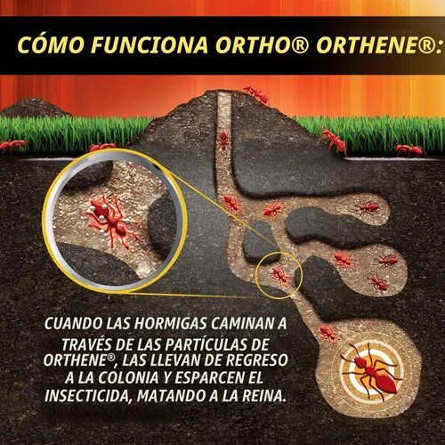 Vista 8 de Ortho Orthene Fire Ant Killer1, 12 onzas (paquete de 12)