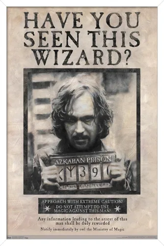 Vista 8 de Trends International El Mundo Mágico: Harry Potter - Póster de Buscado de Sirius Black, Póster de Pared, 14.725" x 22.375", Versión con Marco