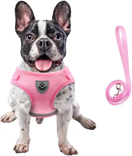 Vista 16 de FEimaX juego de arnés y correa para perro para caminar, de malla suave ajustable de control fácil, arneses de chaleco ligeros para gatos con tiras