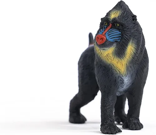 Vista 7 de Schleich Wild Life - Figura realista de mono mandril, juguete auténtico y altamente detallado, duradero para la educación y juego divertido