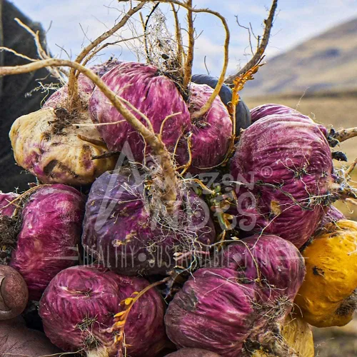 Vista 7 de Cápsulas de maca negra, roja y amarilla premium l 3000 mg que sirven para mayores niveles de energía y rendimiento físico l Potente antioxidante