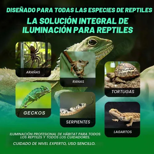 Vista 2 de Lámpara de reptil de cúpula poco profunda de 5.5 pulgadas, adecuada para bombillas UVB y bombillas de calor que disfrutan, máximo 160 W.