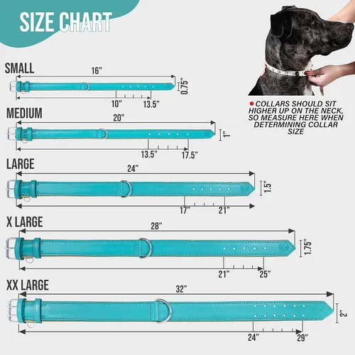 Vista 2 de Riparo Collar de perro de cuero ajustable – Collar de perro ancho resistente para perros pequeños, medianos, grandes y extra grandes con soporte Agua