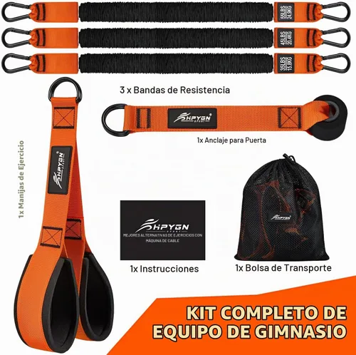 Vista 7 de HPYGN Bandas de resistencia para entrenamiento de brazos, bíceps, tríceps, espalda, abdominales, hombros, bandas de ejercicio resistentes con asas