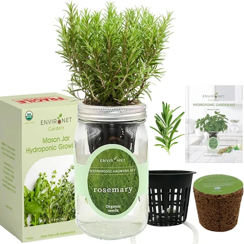 Vista 2 de Kit de cultivo hidropónico de hierbas Environet, kit de inicio de jardín de hierbas en tarro de vidrio Mason para interiores, jardín de hierbas
