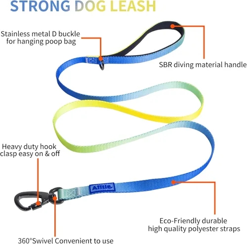 Vista 3 de AIITLE Arnés para perro, correa y collar sin tirones, collar básico ajustable con una correa resistente, hebilla súper resistente y anillo en D, Azul