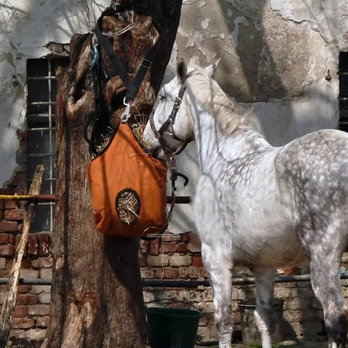 Vista 5 de Rosemarie Perchas de correa de cubo para caballo, proveedores de caballos, correas de nailon ajustables de hasta 700 libras para redes de heno