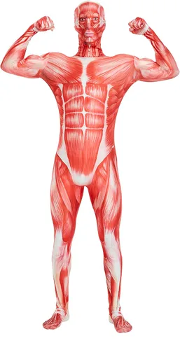 Vista 4 de Frybdfvdf Disfraz unisex de elastano elástico para adulto, traje de cuerpo de hombre que desaparece