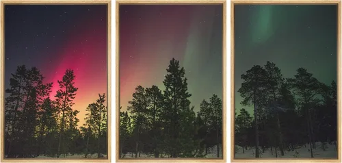 Vista 34 de wall26 Lienzo enmarcado para pared, juego de arte de selva, rana, hoja de palmera, naturaleza, desierto, arte moderno, realismo, decorativo