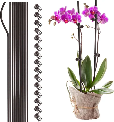 Vista 10 de Juego de 10 estacas de metal para plantas de jardín con 15 clips de fijación de vid, estacas de flores de un solo tallo de 15.75 pulgadas de alto