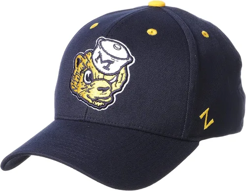 Vista 15 de ZHATS NCAA Vault - Sombrero elástico ajustado para hombre