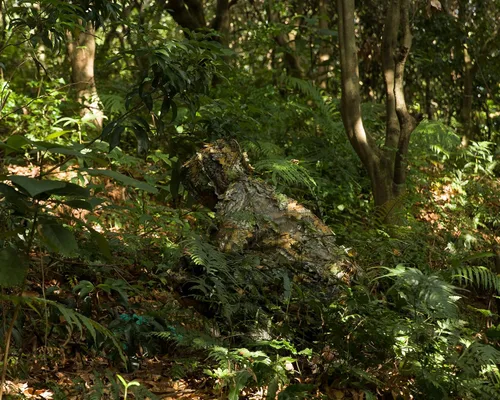 Vista 2 de Ginsco Ghillie Suit - Juego de guantes de máscara de cara completa, traje de camuflaje frondoso 3D para hombres, fotografía de caza al aire libre