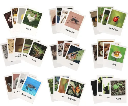Vista 7 de Figuras del Ciclo de Vida de Animales Montessori con Tarjetas Flash, Juguetes de Figuritas de Animales Realistas, Juego Educativo de Emparejamiento