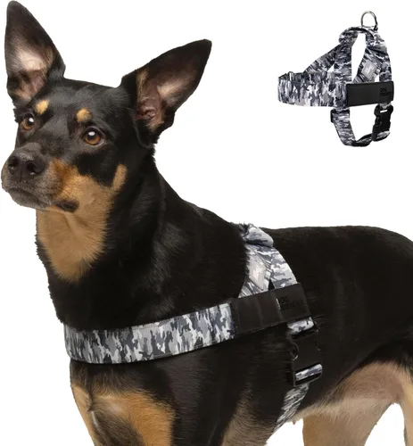 Vista 14 de Arnés para perro Dog Friendly Co Correas resistentes a rozaduras, cuello y pecho ajustables, y anillo en D resistente Resistente, cómodo, fácil