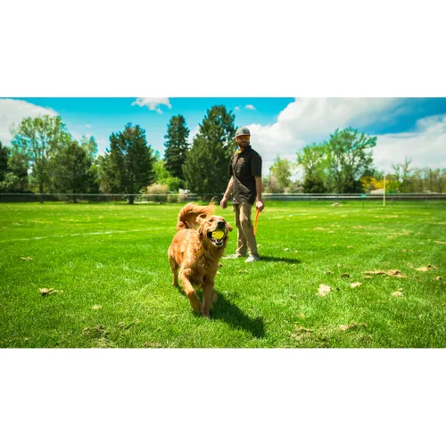 Vista 6 de Lanzador de Pelotas para Perros Hunter Amarillo Naranja Goma Bola