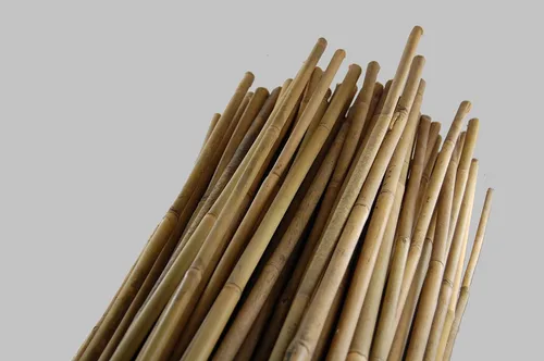 Vista 2 de Grower's Solution Estacas de bambú – Natural – 5 pies de alto x 1/2 pulgadas de profundidad – Cañas de planta – Paquete de 250