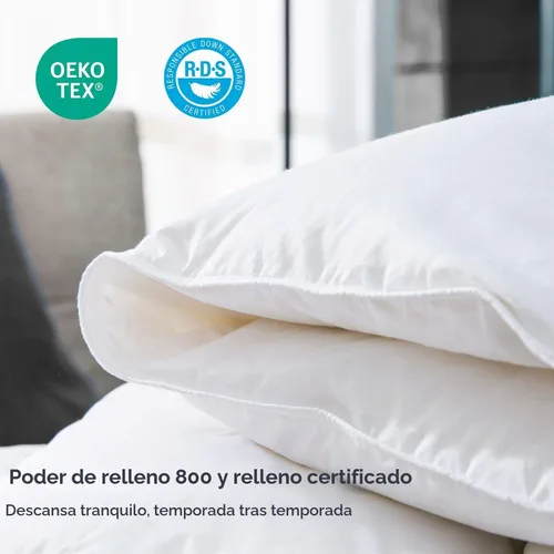 Vista 4 de Globon Edredón Queen de plumón de ganso, relleno de 800 hilos, relleno de lujo, para todas las estaciones, funda suave y silenciosa de 420 hilos