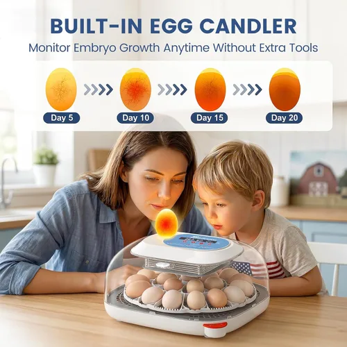 Vista 7 de Sailnovo 24 Egg Incubators for Hatching Eggs, 360° View with 4 Modes, Blue