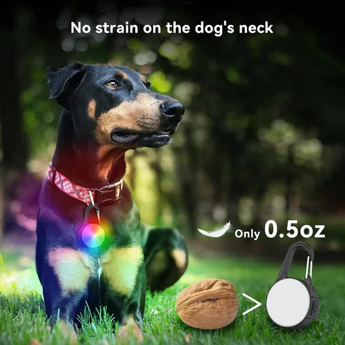 Vista 6 de Luces de perro para caminar por la noche, 4 modos IP68 impermeable collar de perro luz para clip nocturno, recargable de alta capacidad con 2 cables
