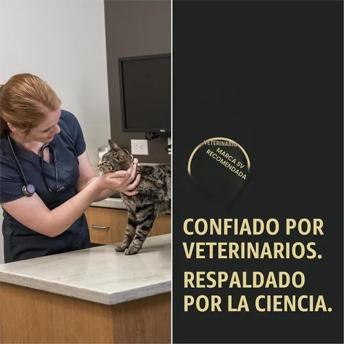 Vista 9 de Purina Pro Plan Urinary Tract Health - Entree de pollo en salsa para gatos (paquete de 24) latas de 5.5 onzas