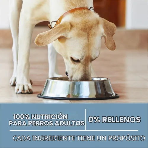 Vista 8 de Purina ONE Plus Fórmula para la salud de las articulaciones, alimento seco natural para perros con vitaminas, minerales y nutrientes añadidos