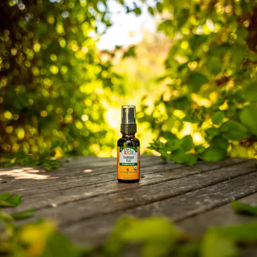 Vista 4 de Herb Pharm Spray de hierbas TLC para garganta sin alcohol orgánico certificado para niños, 1 onza