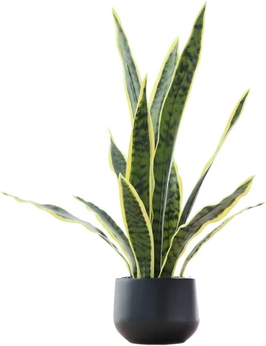Vista 7 de Bird Fiy Planta artificial de serpiente de 22.5 pulgadas, agave artificial, Sansevieria, plantas artificiales en maceta para decoración