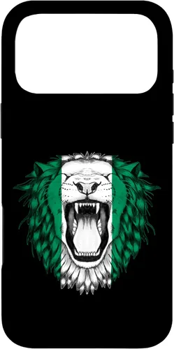 Vista 22 de Nigeria Case for iPhone 17