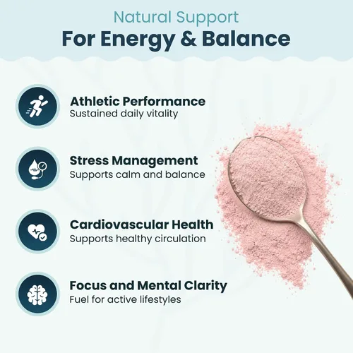 Vista 2 de Atlantic Naturals Superfood Mezcla de polvo de musgo marino orgánico con Ashwagandha, raíz de maca y raíz de remolacha Ideal para piel sana