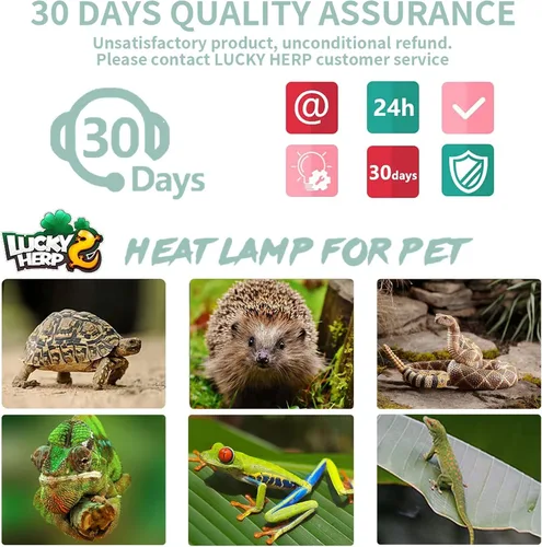 Vista 7 de LUCKY HERP Paquete de 4 bombillas de luz para reptiles UVA UVB de 25W, bombillas de lámpara de calor para reptiles y anfibios, bombilla de luz