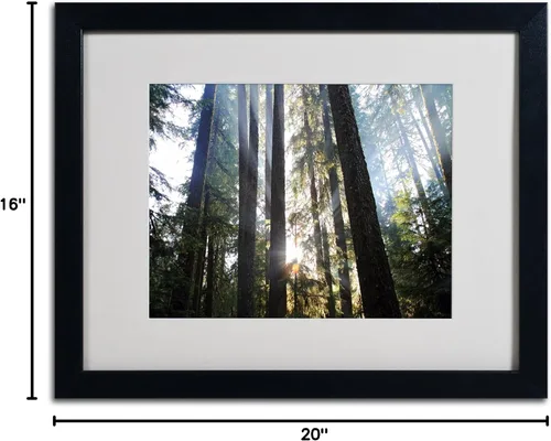 Vista 5 de Trademark Fine Art Sunrays by Pierre Leclerc - Lienzo decorativo para pared, marco negro, 16 x 20 pulgadas