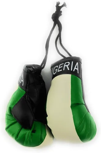 Vista 20 de Mini guantes de boxeo para colgar en el espejo del coche (Camerún)